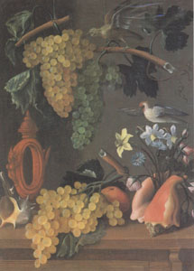 Still Life with Grapes (san 05)